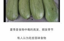 吃瓜網官網免費觀看 吃瓜網官網,免費觀看，暢享娛樂盛宴