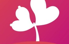 成人短視頻害羞草,成人短視頻中的情感共鳴與社交探索